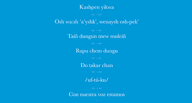 widget image