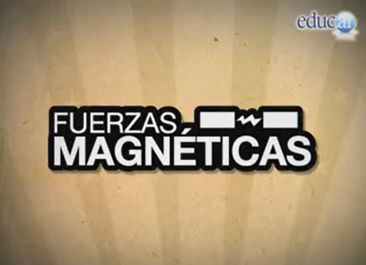 widget image