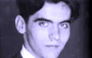 widget image