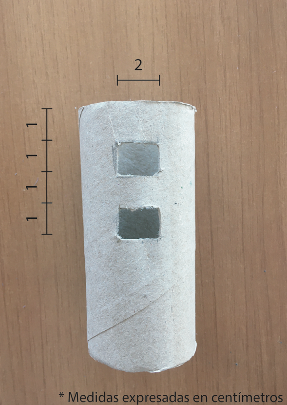  Tubo de cartón con dos recortes rectangulares y sus respectivas dimensiones. 