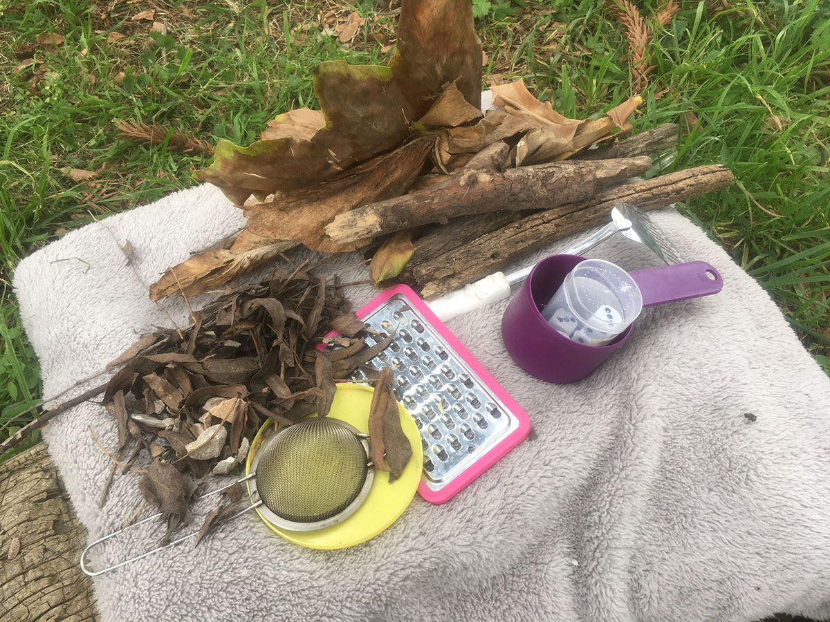 Elementos naturales y de cocina: ramas, hojas, troncos, rallador, colador, plato, vaso, dados en un vaso y espátula. 