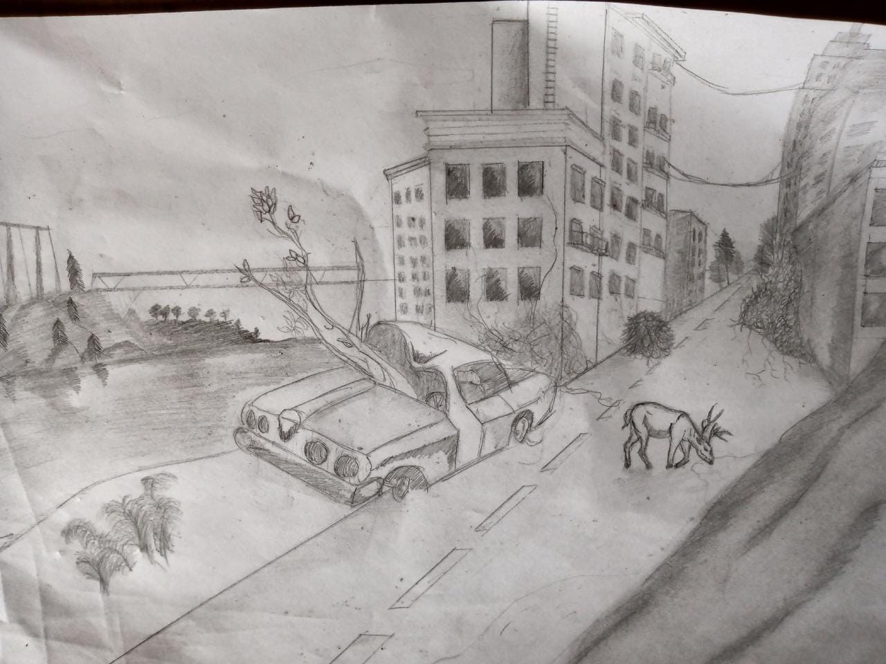 Dibujo realizado por Federico Oliva, del Colegio Secundario Médano Cortado de La Pampa, para la convocatoria «Juventudes y Derechos» 