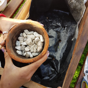 Las manos de una persona sosteniendo un recipiente con piedras pequeñas.