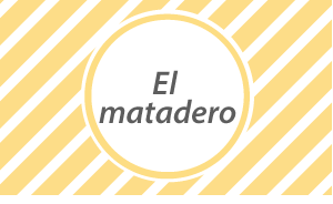 widget image