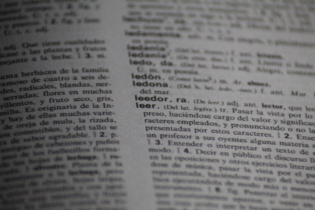 Página de un diccionario con el foco puesto en la definición de la palabra leer: «leer. (Del lat. legere) tr. Pasar la vista por lo...». El resto está borroso.