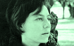 widget image