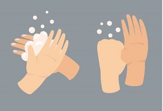 widget image