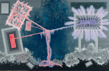 widget image
