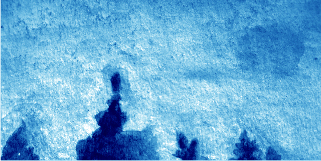widget image