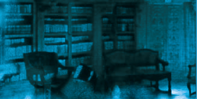 widget image