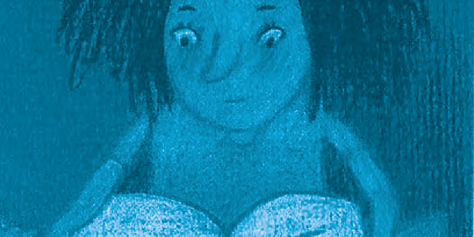 widget image