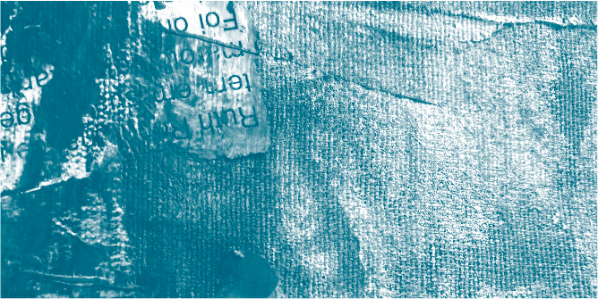 widget image
