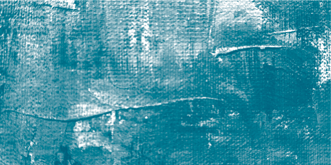 widget image