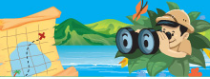 widget image