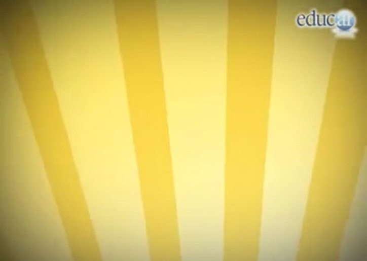 widget image