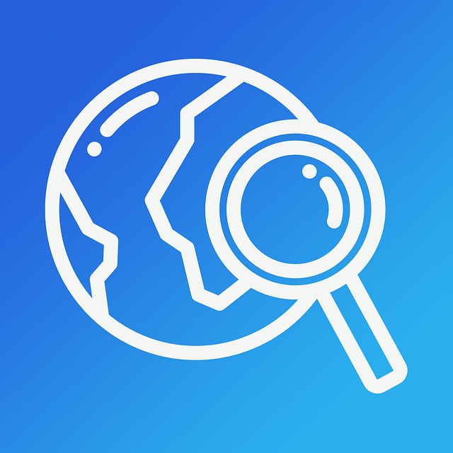 widget image